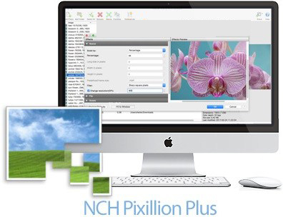NCH Spin 3D Plus 6.09 download the new version for mac